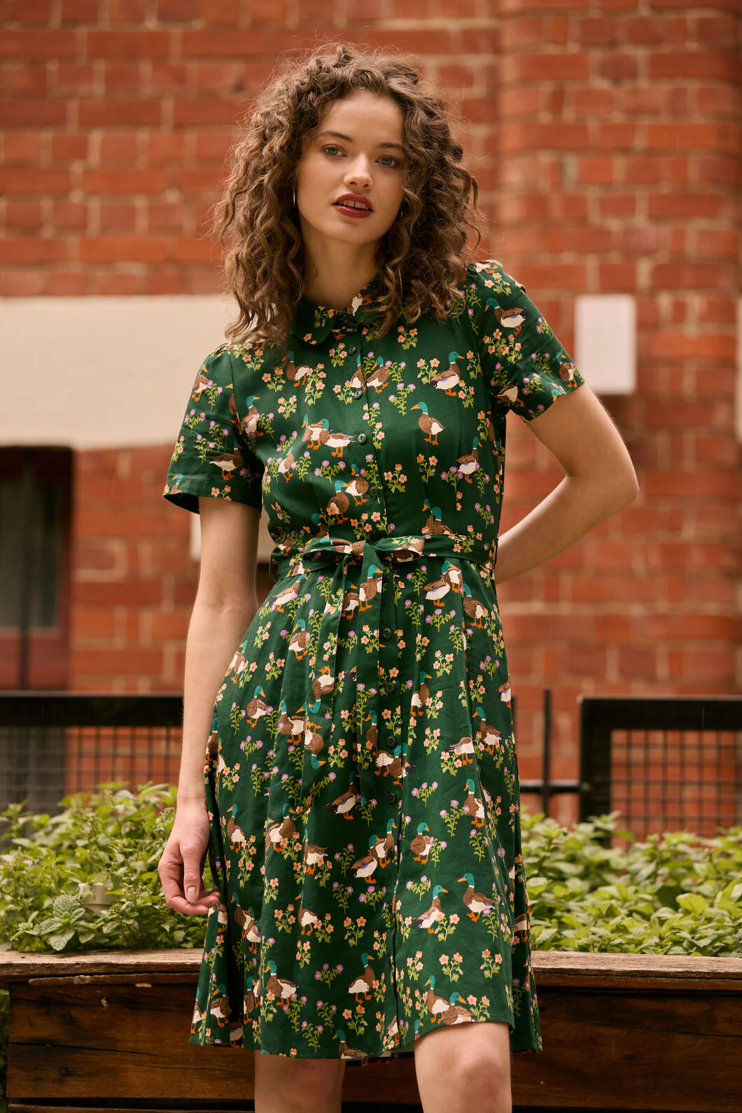 Sweet Ducks Mini Shirt Dress - Image 2